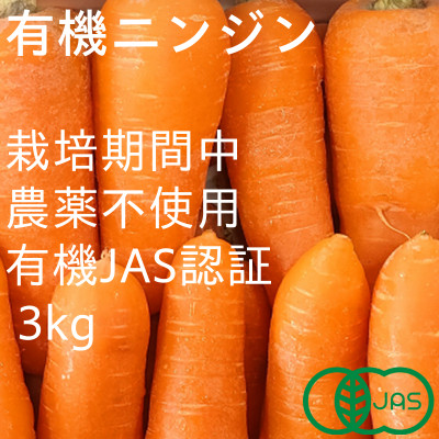 有機ニンジン　栽培期間中農薬不使用　有機JAS認証　冬季限定(12～3月発送)【配送不可地域：離島・北海道・沖縄県】