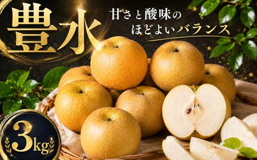【先行予約】 梨 豊水 3kg なし ナシ 梨 豊水 ほうすい 豊水梨 果物 くだもの フルーツ デザート 新鮮 果肉 果汁 fruit nasi ふるうつ ふるーつ 梨  3キロ ナシ フルーツ 豊水 旬 豊水 梨 ナシ ほうすいなし 甘い みずみずしい 2026年産 特産品 産地直送 農家直送 お取り寄せ たけうち農園 茨城県 筑西市 関東
