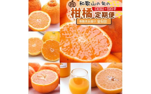 家庭用 柑橘定期便M（奇数月）全6回 ［IKE308］