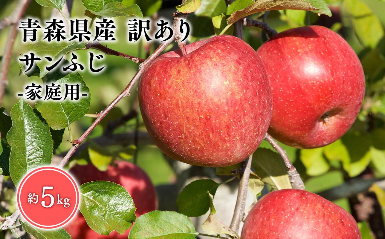 1月発送　訳あり　家庭用　甚八りんごサンふじ５kg　【青森県 平川市 マルジンサンアップル】 1月発送 5kg