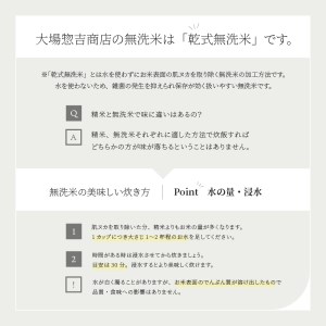 お米 米 10kg 5kg×2袋 あきたこまち 令和7年産 2025年産 山形県産 無洗米 ※沖縄・離島への配送不可 ob-akxxa10-m