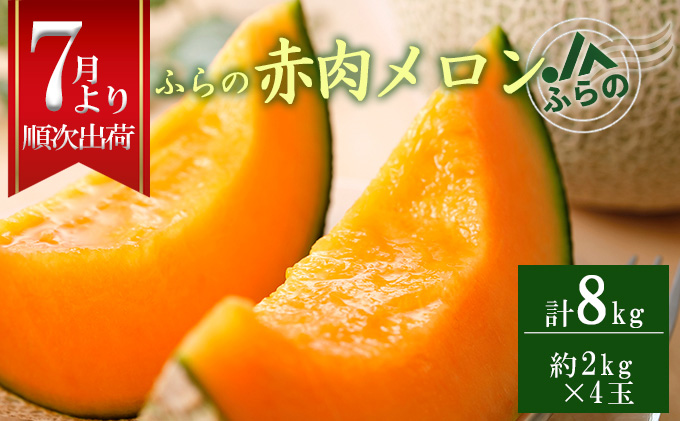 【ANA限定】2025年夏発送 メロン 北海道 ふらの 赤肉 メロン 2kg×4玉 JAふらの 厳選 産地直送 赤肉 富良野メロン フルーツ 果物 果実 旬 旬のくだもの デザート おやつ ギフト プレゼント 贈答 贈答用 贈答品 贈り物 富良野