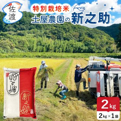 ふるさと納税 佐渡市 佐渡島産新之助 無洗米2kg 土屋農園 栽培期間中農薬・化学肥料5割減 令和7年産【食の宝島佐渡】