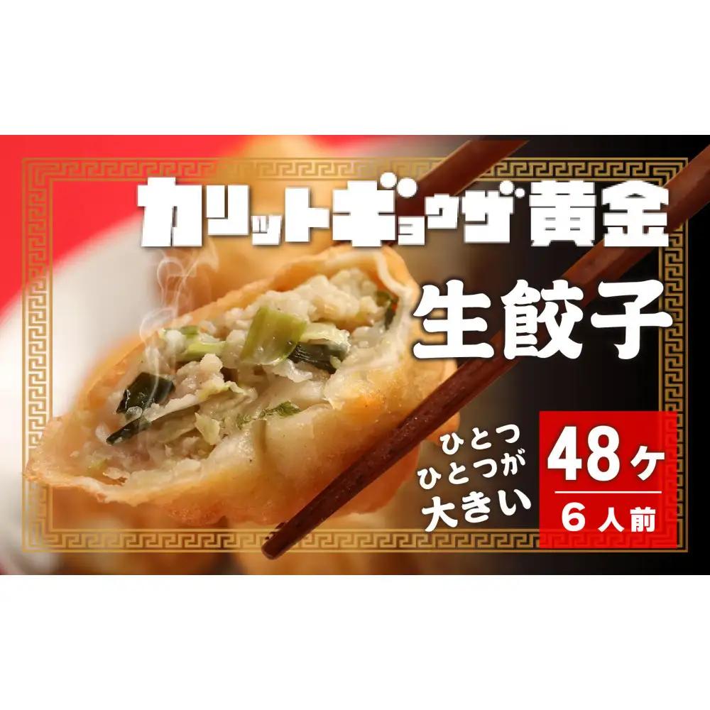 カリットギョウザ 生餃子 48ケ【6人前】ジューシー 大きい 冷凍餃子 冷凍生餃子