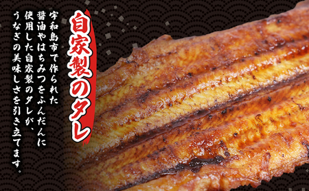 うなぎ蒲焼き 1尾 170g~180g 河野鮮魚店 (蒲焼たれ入) 【D015-177002】