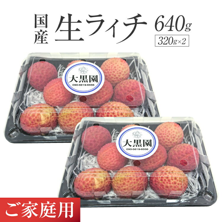 【ふるさと納税】 【期間限定発送】 ご家庭用 生ライチ 320g×2パック [大黒園 宮崎県 日向市 452060923] 果物 フルーツ 国産 宮崎産 訳あり
