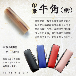 手彫り 印鑑 牛角 実印 柄付 中  16.5mm 1本 ケース付き 印章 判子 ハンコ