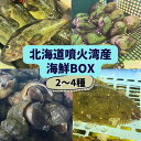 【ふるさと納税】北海道 伊達　噴火湾 水揚げ 今野水産 新鮮 活締め 海鮮 BOX 2～4種セット　【 魚介類 海鮮 美味しい 海産物 厳選 旬の魚介 活締め 詰め合わせ カレイ ヒラメ 】