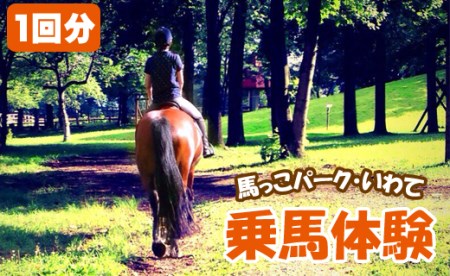 乗馬体験 1回分 チケット 【馬っこパーク・いわて】ふれあい 乗馬 馬 ホースセラピー