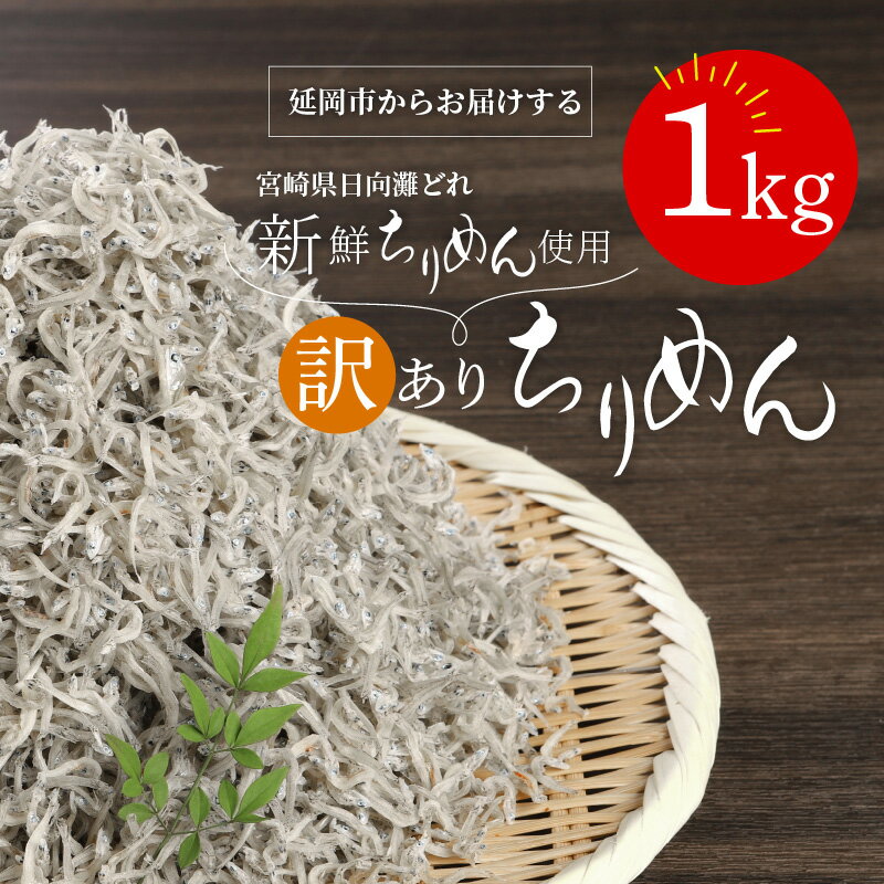 【ふるさと納税】訳あり 宮崎産 ちりめん 工場直売 1kg 入り