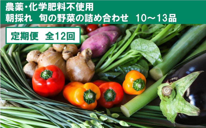 
            【全12回定期便】土佐の太陽をいっぱいに浴びた旬の野菜セット「大」 (12回配送)【土佐野菜】 [ATBA010]
          