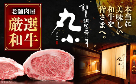 丸小本店 老舗肉屋厳選　行列のできるキッチントーキョーのビーフシチュー 1人前（250g）×5個セット&nbsp;/ 惣菜 常備食 簡単調理 レトルト食品 /&nbsp;恵那市 / テンポイント[AU