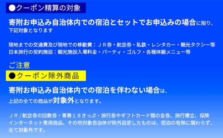 日本旅行　地域限定旅行クーポン【15,000円分】