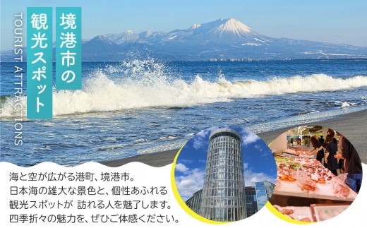 藍苺ブルーベリーケーキ（5個入×1）、鳳梨パイナップルケーキセット(5個入×1) 【鳥取県 境港市】