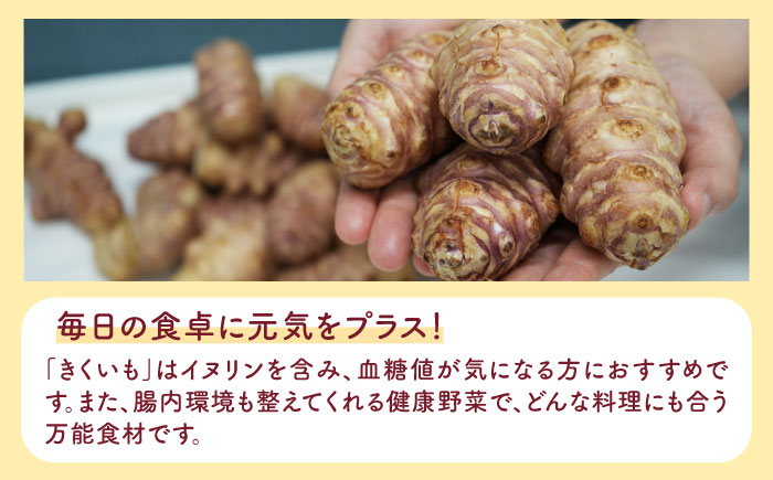 焙煎 築上きくいも茶 3g×15包  《築上町》【合同会社豊築マルシェモンステラ】 菊芋 お茶 [ABBZ016] 5000円 5千円 5000円 5千円