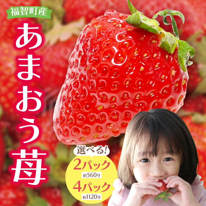【ふるさと納税】あまおう 苺 選べる数量 2パック 4パック イチゴ いちご あまおう苺 アルギット農業 自然農法 フルーツ 果物 福岡県産 福智町産 送料無料 数量限定品 先行予約 ※2026年1月上旬より順次発送 U21-01-01 U21-02-01