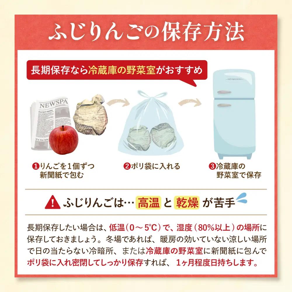 2026年産 樹上完熟ふじりんご 秀品 3kg （12個詰め） りんご