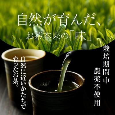 ふるさと納税 木城町 一番煎茶・ほうじ茶　詰合せセット |  | 01