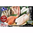【ふるさと納税】5回定期便 羅臼の魚 おすすめセット(1) 魚 切り身 切身 海鮮 福袋 家族 たら さくらます ほっけ カレイ こまい 一夜干し 粕漬け 北海道産 海鮮 海産物 魚介 魚卵 生産者 応援 支援 詰め合わせ