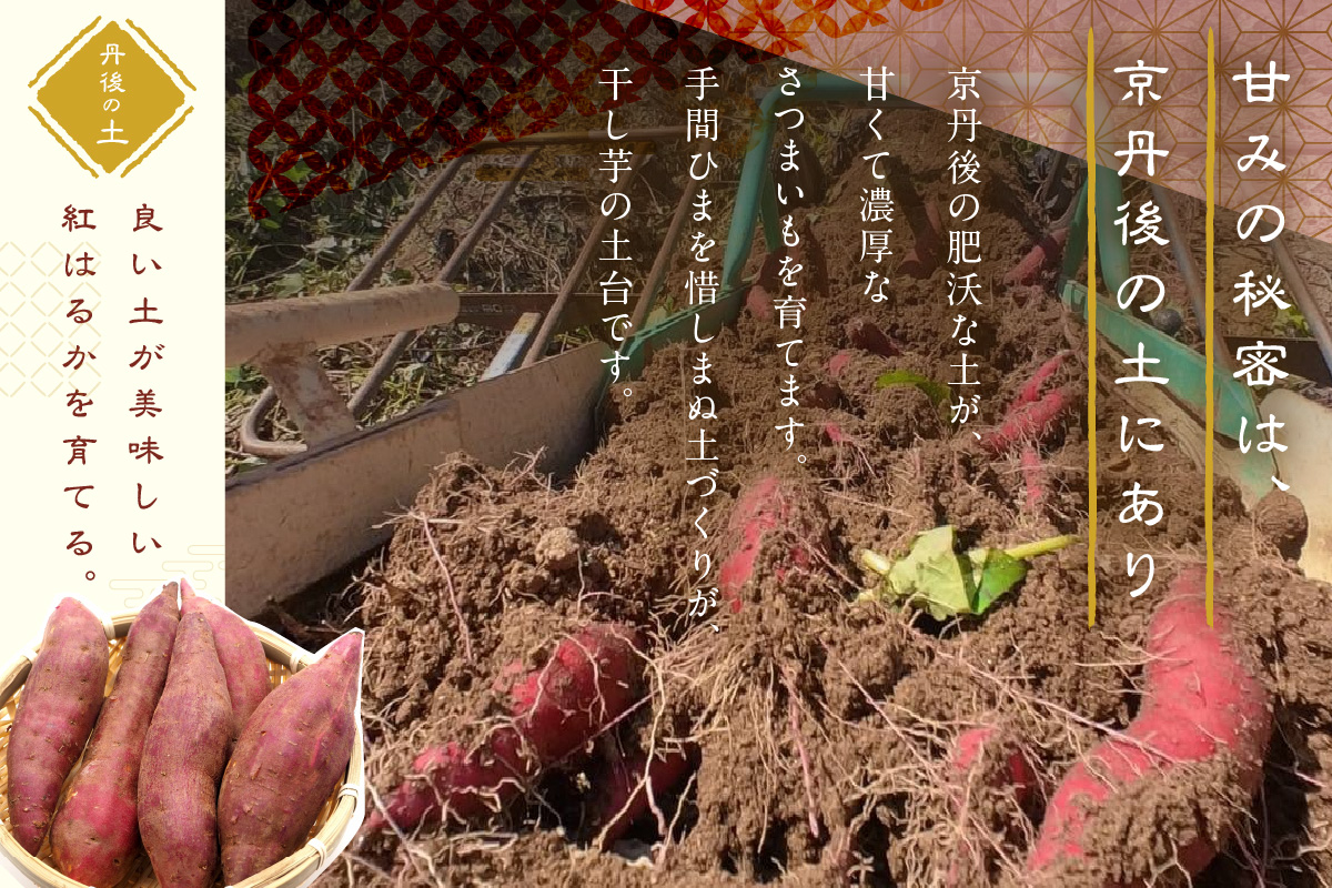 京都・京丹後産干しいも　100g×10セット 定期便　毎月×3回 和菓子 平干し芋 さつまいも ほしいも ふるさと納税 干し芋 ダイエット　SD00016