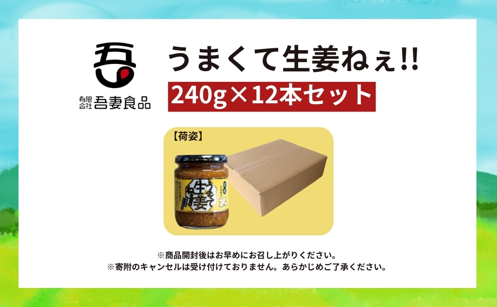 うまくて生姜ねぇ!!12本セット 【しょうが 国産 醤油漬け ごはんのお供 お弁当 調味料 おつまみ 肴 薬味 隠し味 猪苗代町 福島県】