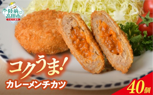 【5月発送】 カレー包みメンチカツ 60g×40個 【 ほどよい辛さ コク旨 惣菜 カレー メンチカツ 国産 鶏肉 使用 人気 】 RT2491-040