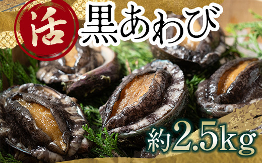 
                  中泊直送 天然 ”活” 黒あわび 約2.5kg 【卓立水産】貝 海鮮 津軽海峡 活鮑 活あわび 活アワビ 黒鮑 黒アワビ アワビ 鮑 天然 産地直送 海産 魚貝 魚介 中泊町 青森 F6N-032
                