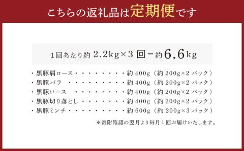 FS-309 【3ヶ月定期便】鹿児島県産黒豚 5種詰合せ(約2.2kg×3回)