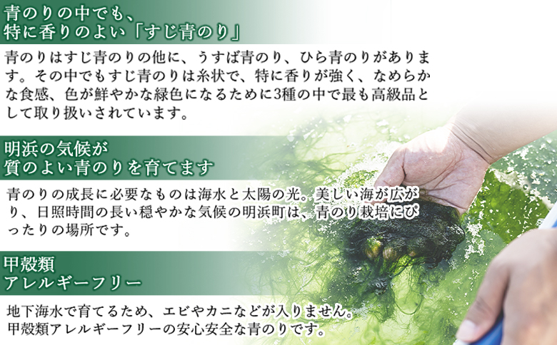 ＜打ち抜き海水で育てた「すじ青のり」（粉末3g×12パック）＞ 甲殻類アレルギーフリー 色づけ 香りづけ お好み焼き たこ焼き 焼きそば おはぎ ピザ お吸い物 茶碗蒸し 佐藤真珠 愛媛県 西予市