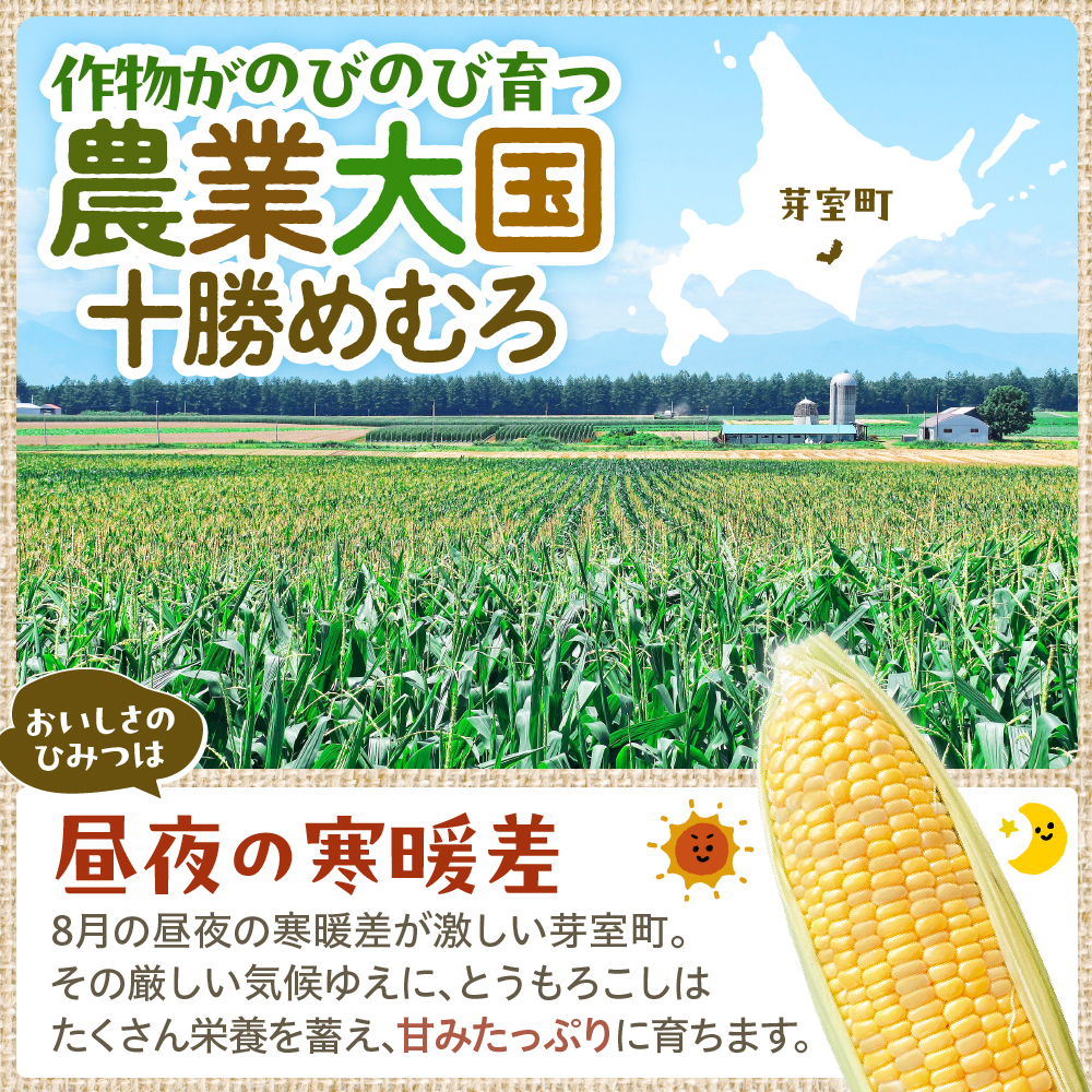 【2026年7月下旬～8月中旬頃配送】北海道十勝芽室町 とうもろこし スイートコーン10本 イエロー種 me002-004c-26／人気 キャンプ飯 アウトドア BBQ トウモロコシ とうきび コーン