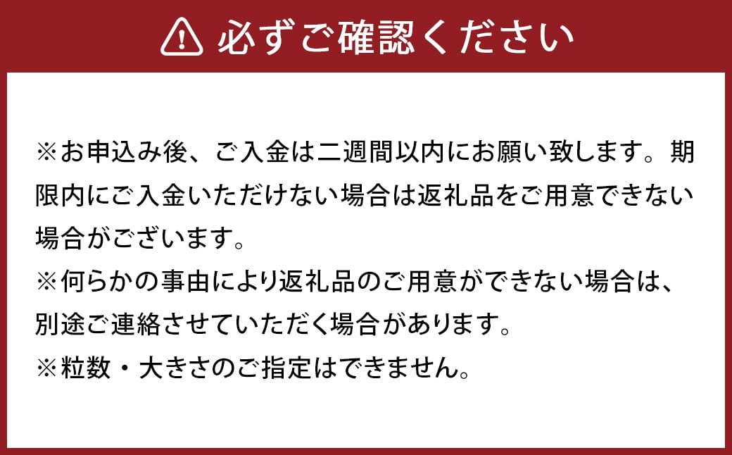 パクパクはるか 5kg バラ詰め 訳あり（B品）