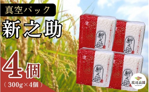 真空パック 五泉産 精米 詰め合わせセット  新之助4袋入り 新潟県 五泉市 渡辺農園