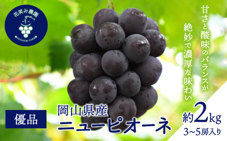 【2026年先行受付】岡山　花笑み農園の『ニューピオーネ』優品　約2kg(3～5房)　P-2優【配送不可地域：離島・北海道・沖縄県】【1593495】