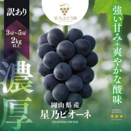 【訳あり】星乃ピオーネ 3房～5房(2kg以上)【配送不可地域：離島】【1740016】