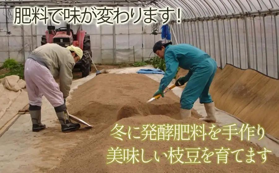 【令和8年産先行予約】 本場鶴岡市白山産 冨樫藤左エ門のだだちゃ豆(おうら) 1.2kg(300g×4袋)　　K-831