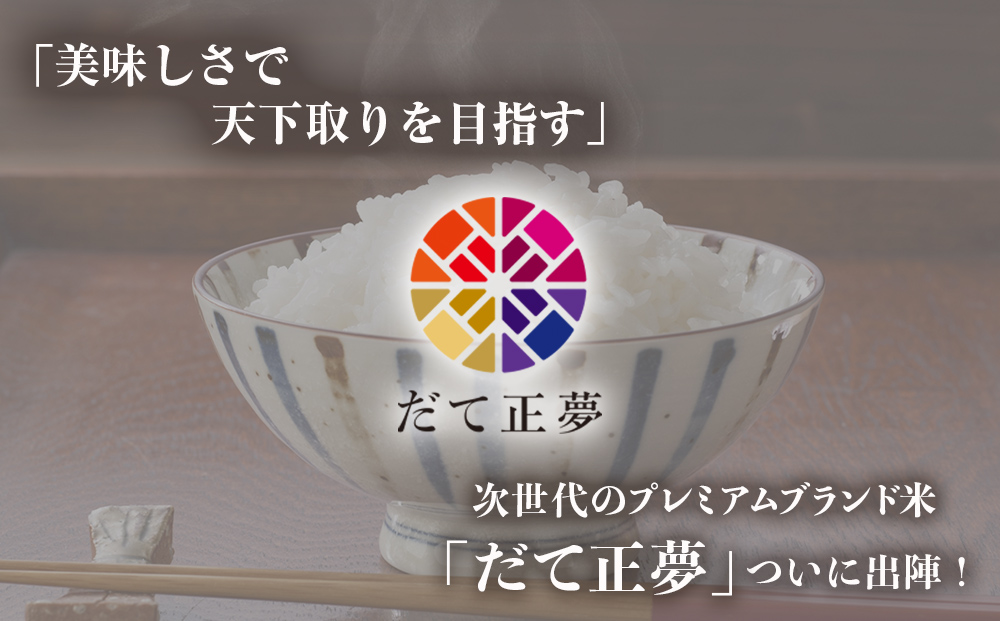 ＜定期便3回・毎月発送＞ 令和6年 だて正夢 いしのまき産米 精米 30kg 10kg×3回