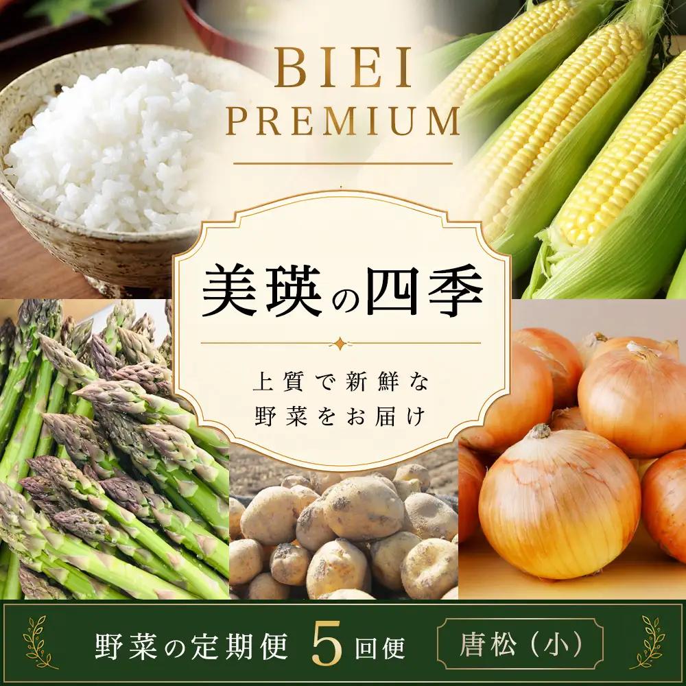旬の野菜定期便 5回 【令和9年産予約受付】 美瑛の四季 唐松（小）  野菜