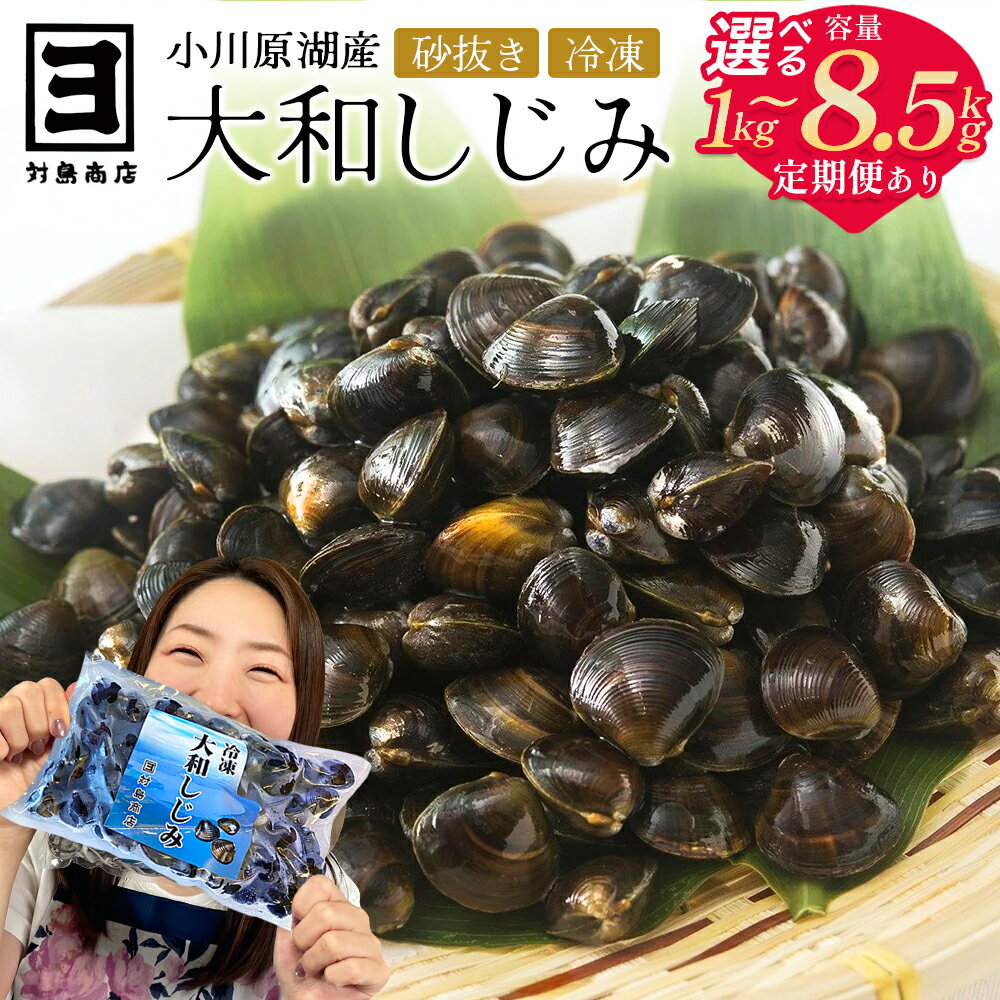 《レビューキャンペーン》砂抜き済みで手間いらず！冷凍・小川原湖産大和しじみ2.5kg（500g×5袋）　【02408-0073】# 大和しじみ しじみ 小川原湖 東北町 青森県 砂抜き 冷凍 対島商店