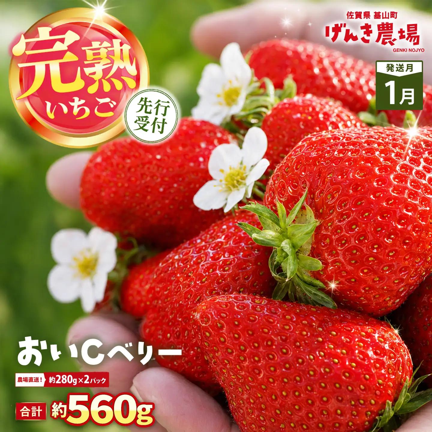【2027年1月発送】【先行予約】【農場直送！】おいCベリー(約280g×2P) K100077