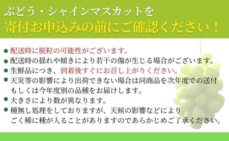 信州上田 シャインマスカット約2kg（4～5房）