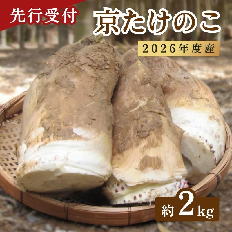 【ふるさと納税】 先行予約 京たけのこ 約2kg 2～6本 ( 選べる 家庭用 贈答用 ) 令和7年分 筍 掘りたて たけのこ 竹の子 京都 国産 新鮮 野菜 ごはん ご飯 家庭用 京野菜 旬 産地直送 お取り寄せ 煮物