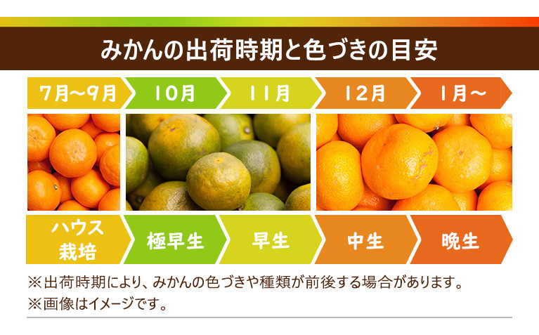 ［先行予約］家庭用 小さな有田みかん10kg+250g（傷み補償分）［2026年10月初旬から2027年1月末日頃順次発送予定］［IKE223］