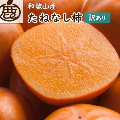 ふるさと納税 九度山町 【訳あり・家庭用】 たねなし柿 約2.5kg【刀根早生・平核無柿(ひらたねなしかき)】