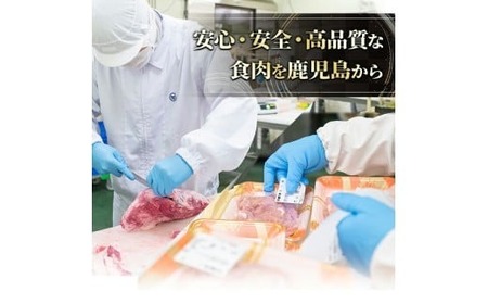 あらびき ウインナー 国産 (計720g・120g×6P) 国産 豚肉  ウインナー【ナンチク】A1020