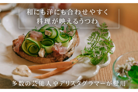 【美濃焼】リンカ 24プレート 2枚セット 白練×黒練【カネコ小兵製陶所】【TOKI MINOYAKI返礼品】食器 大皿 パスタ皿 カレー皿 盛り皿 ワンプレート ランチ ディナー おもてなし リンカ