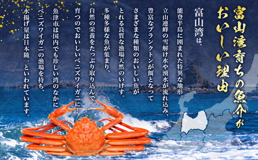 【冷凍】 魚卸問屋の紅ズワイガニ むき身 ミックス 400g ※北海道、沖縄、離島配送不可 ※2025年9月下旬～2026年5月中旬頃発送予定