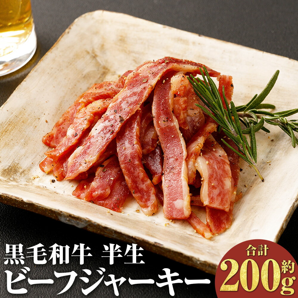【ふるさと納税】【黒毛和牛】 おおいた和牛 半生ビーフジャーキー 約200g （約40g×5パック） 豊後牛 ブランド牛 半生 ビーフジャーキー おつまみ 牛肉 和牛 お肉 肉 国産 九州産 冷凍 贈り物 大分県 竹田市 送料無料