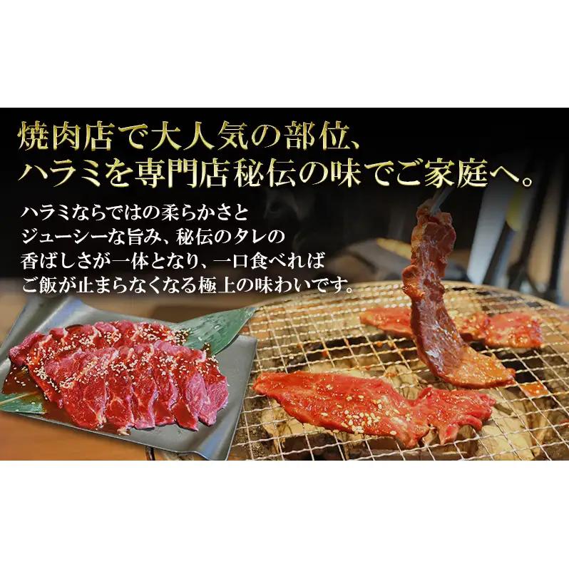 牛ハラミ タレ漬け 300g×3 6〜9人前 牛ハラミ