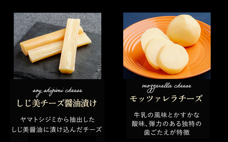 チーズオールスターズお試しセット OSA006 | チーズ
