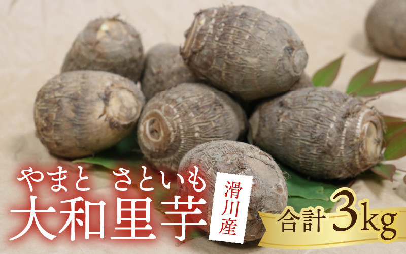 
            【先行予約】さといも 大和里芋（やまと）3kg【2025年11月上旬より順次発送予定】| 野菜 芋 イモ 根菜 いも 煮物 旬 味覚 秋
          